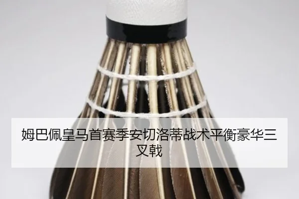 mu-ba-pei-huang-ma-shou-sai-ji-an-qie-luo-di-zhan-shu-ping-heng-hao-hua-san-cha-ji-2-217.jpg