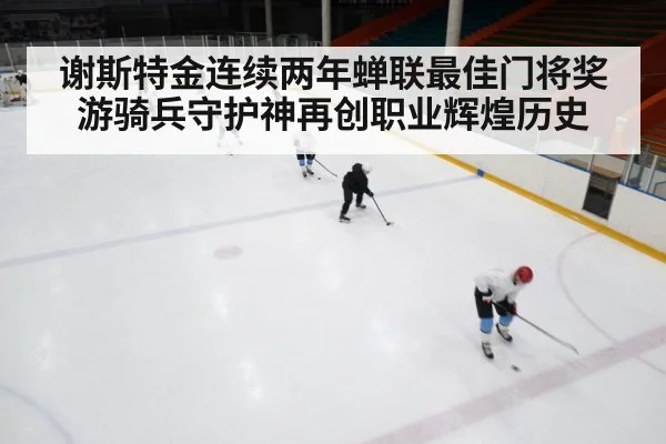 ice hockey rink